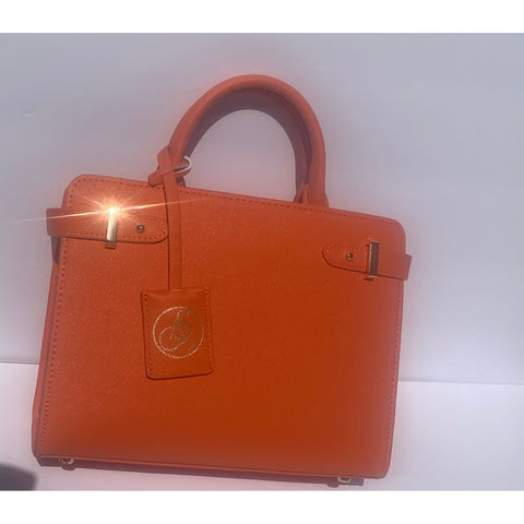 Aashia Shanice Handbag(orange)